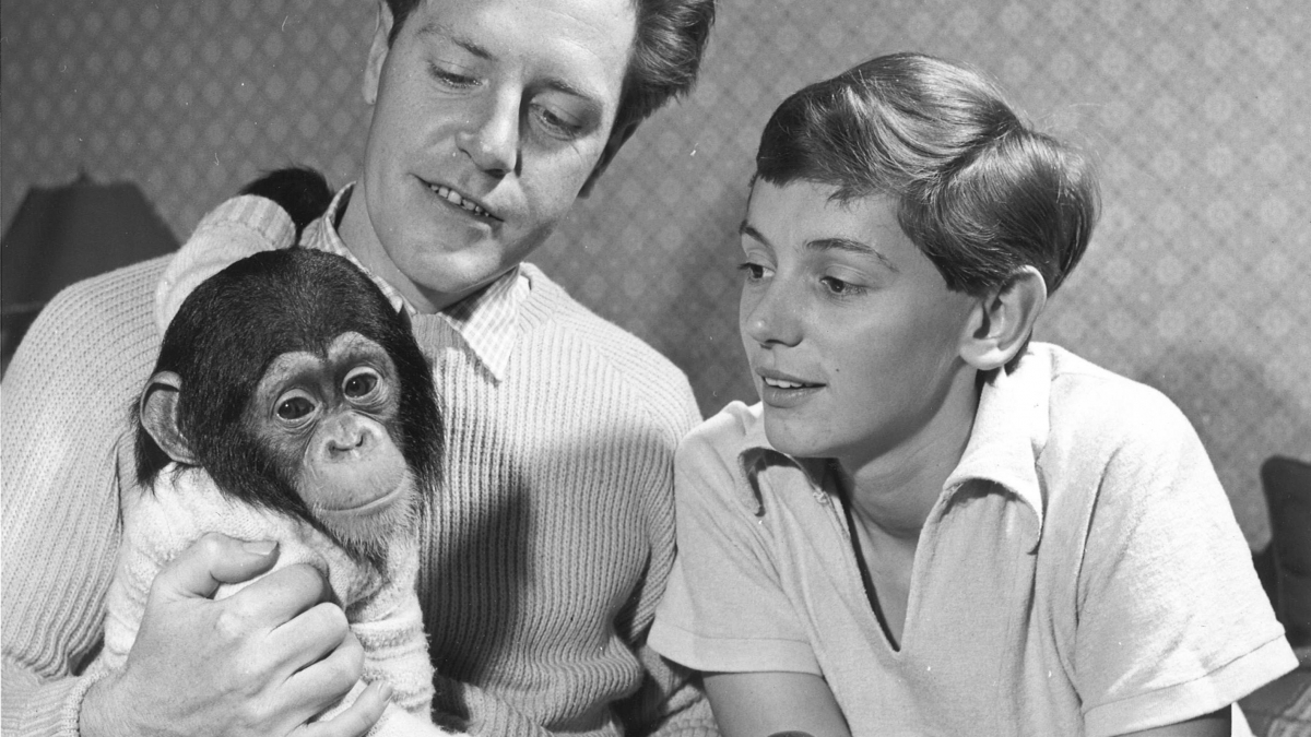 Burning Bright Productions What The Durrells Did Next